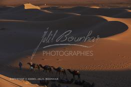 Image du Maroc Professionnelle de  Guides et chameaux attendent au pied de la grande dune leurs clients déposé dans ces lieus pour contempler la beauté du lever du soleil sur les dunes de sable du Sahara à Merzouga dans la région de Drâa-Tafilalet au Sud Est du Maroc, le long de ce que l'on appelle la route des mille kasbahs, Dimanche 5 mars 2017. De nombreux touristes visitent les dunes de Merzouga à l’aube pour contempler la beauté du lever du soleil sur les dunes de sable du Sahara. (Photo / Abdeljalil Bounhar 